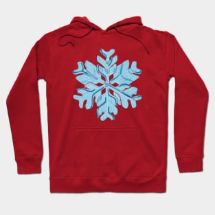 Christmas ornament Hoodie